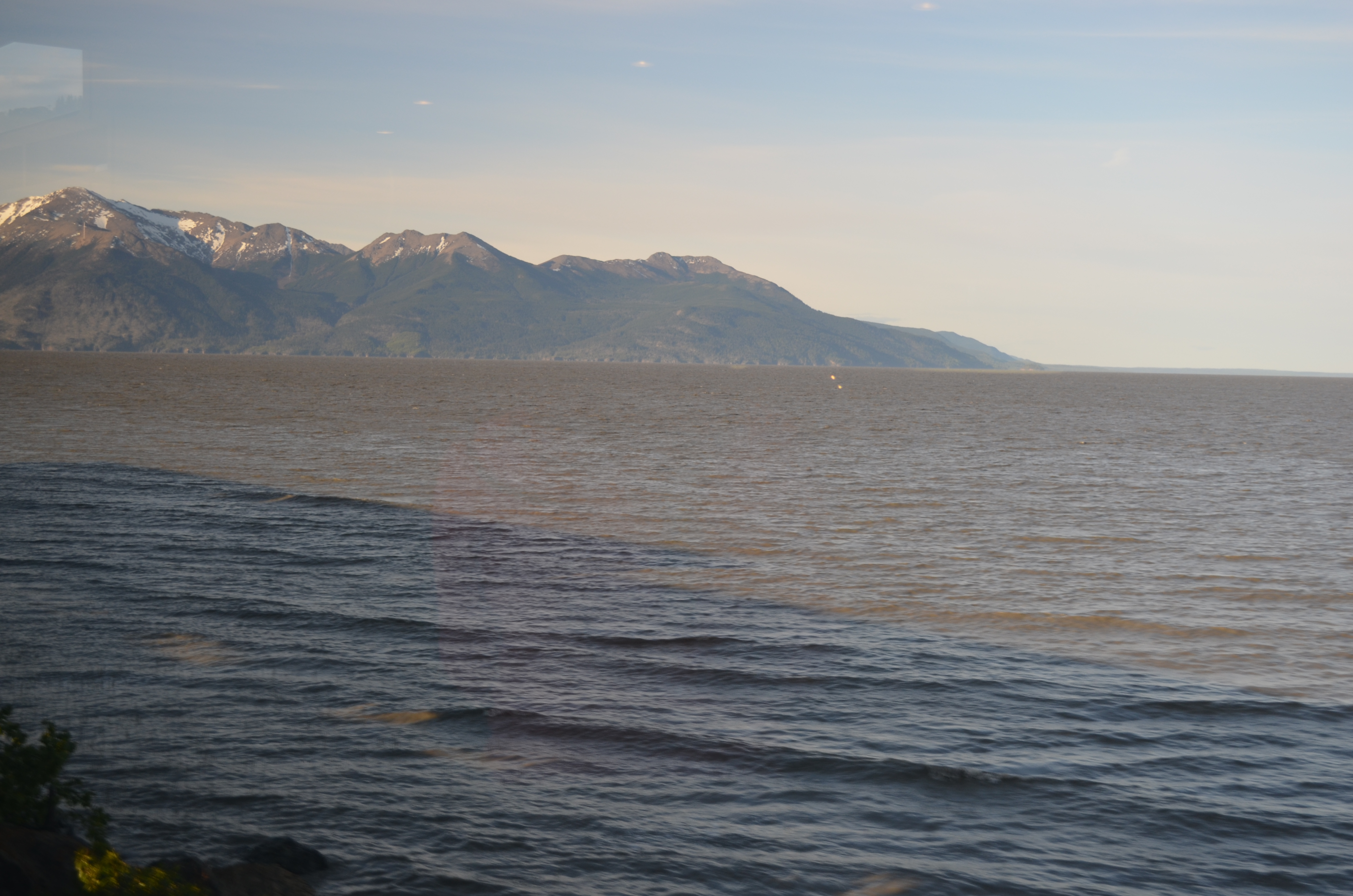 ./2017/08 - Alaska Cruise/05 - Train to Seward/DSC_0382.JPG